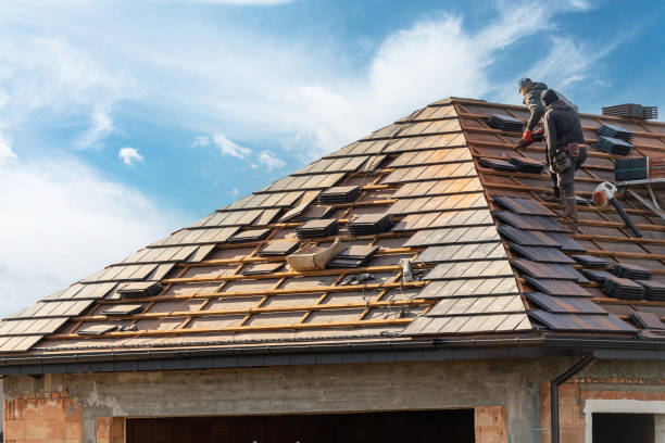Best Roof Moss and Algae Removal  in Morganville, NJ