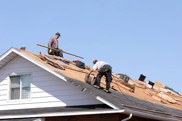Best Asphalt Shingle Roofing  in Morganville, NJ